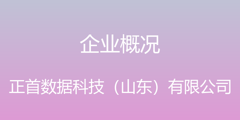 企业概况 - 正首数据科技（山东）有限公司